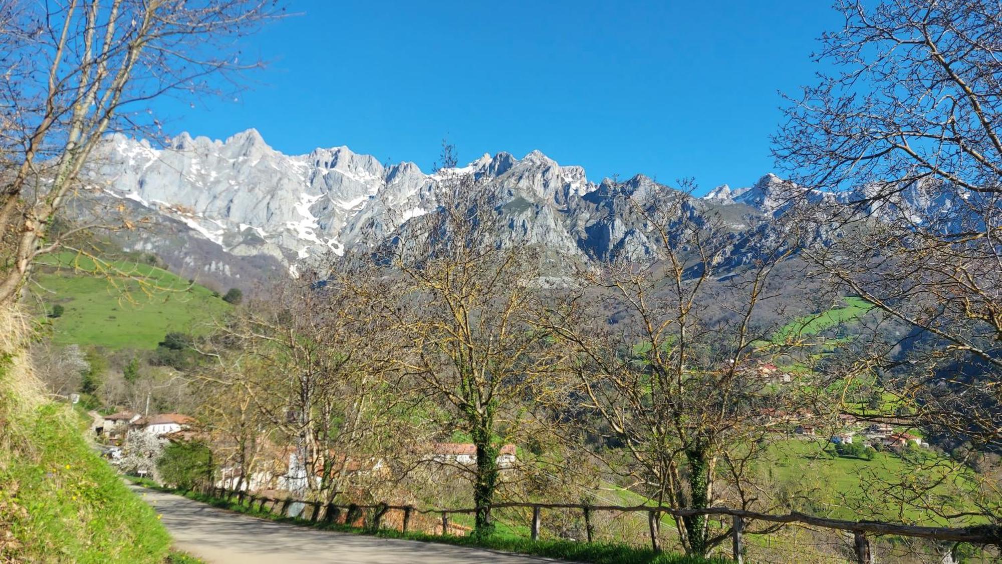 Apartamentos Rurales Los Picos De Redo Camaleno Luaran gambar